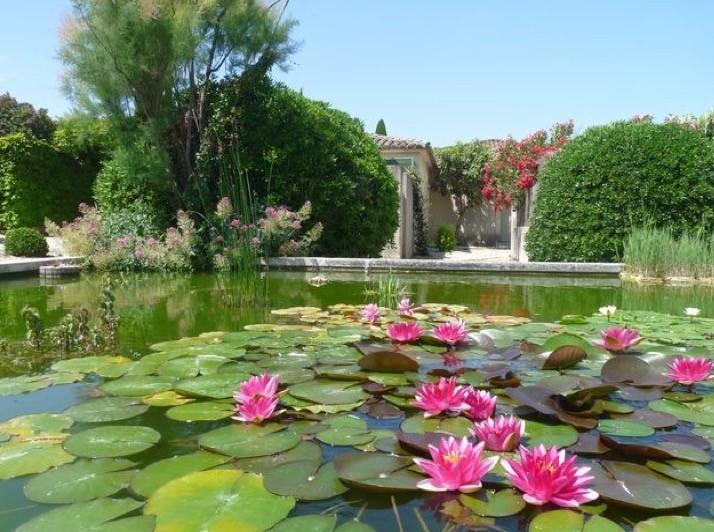 Le Mazet 40 Villa Saint-Remy-de-Provence Bagian luar foto