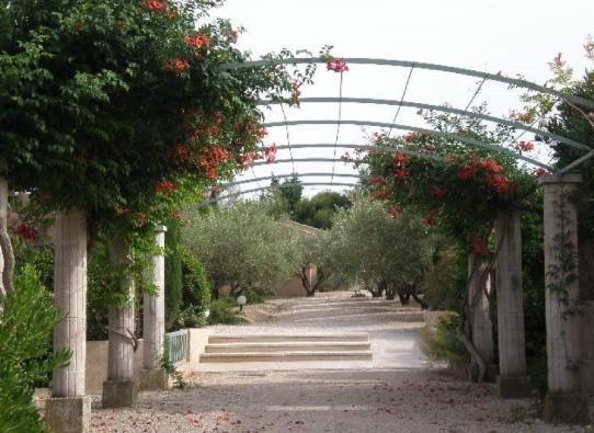 Le Mazet 40 Villa Saint-Remy-de-Provence Bagian luar foto