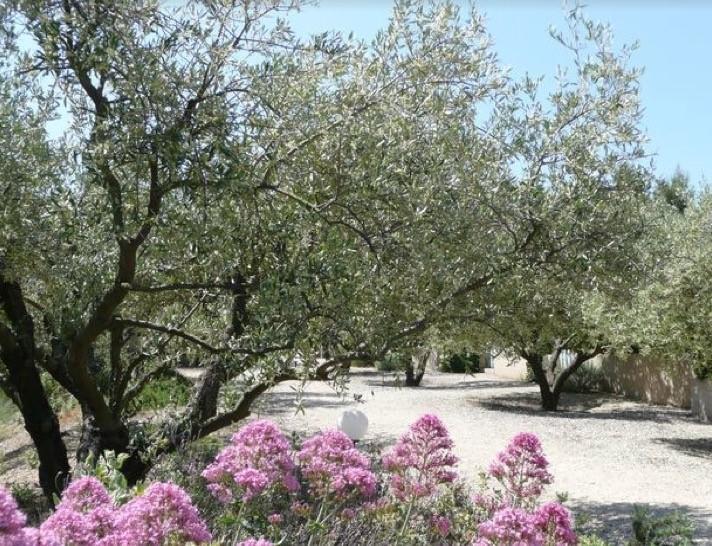 Le Mazet 40 Villa Saint-Remy-de-Provence Bagian luar foto